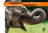 Sloni pro Prahu - Praha pro slony: Elephants for Prague - Prague for Elephants