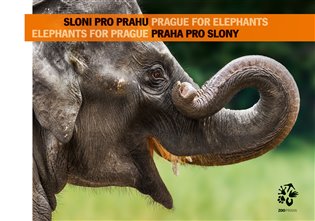 Sloni pro Prahu - Praha pro slony: Elephants for Prague - Prague for Elephants - 