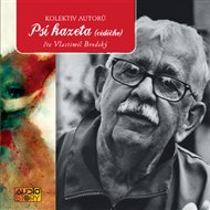 Psí kazeta -  kolektiv