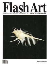 Flash Art 27/2013