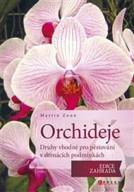 Orchideje: Druhy vhodné pro pěstování v domácích podmínkách - Martin Zoun