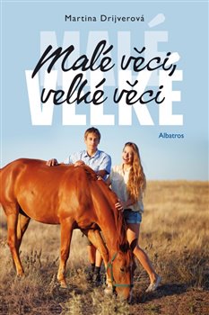 Levně Malé věci, velké věci - Martina Drijverová