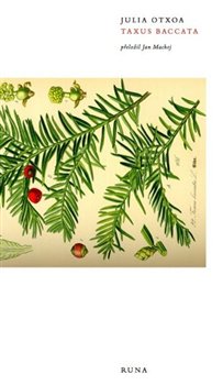 Taxus Baccata koupíte na Kosmas.cz