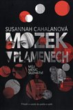 Ob�lka knihy Mozek v plamenech - m�j m�s�c ��lenstv�