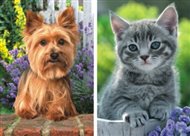 Puzzle Yorkshire a kotě 2x48 dílků