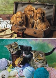 Puzzle Hravá mláďata 2x48 dílků