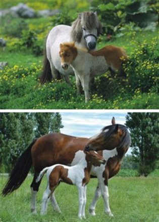 Puzzle Poníci a koníci 2x48 dílků - 