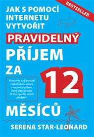 Pravidelný příjem za 12 měsíců