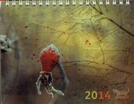 Kalendář Daniel Reynek 2014 - stolní