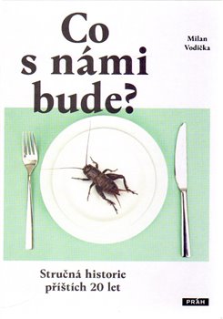 Levně Co s námi bude?. Stručná historie příštích 20 let - Milan Vodička