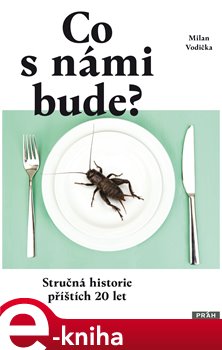 Levně Co s námi bude?. Stručná historie příštích 20 let - Milan Vodička e-kniha