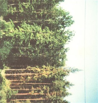 Sraženiny - Petr Mezihorák