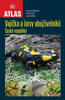 Levně Vajíčka a larvy obojživelníků České republiky - Jaromír Maštera, Vít Zavadil, Jan Dvořák