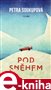 Pod sněhem