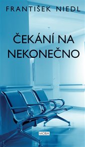 Čekání na nekonečno - František Niedl