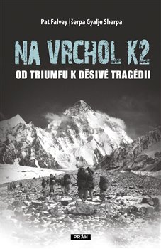 Levně Na vrchol K2. Od triumfu k děsivé tragédii - Pat Falvey, Pemba Gyalje