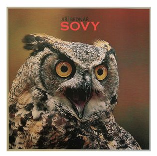Sovy - Jiří Bednář