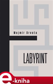Levně Labyrint - Mojmír Drvota e-kniha