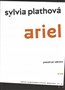 Ariel