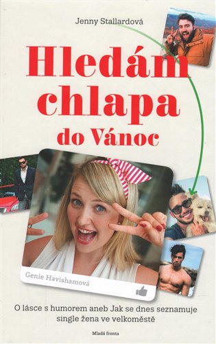 Hledám chlapa do Vánoc: Romantický příběh o tom, jak se dnes seznamuje single žena ve velkoměstě - Jenny Stallardová