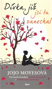 Dívka, již jsi tu zanechal - Jojo Moyesová