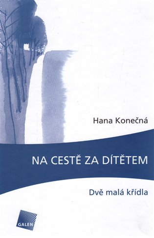 Na cestě za dítětem - Eva Konečná