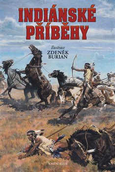 Levně Indiánské příběhy - Vladimír Hulpach