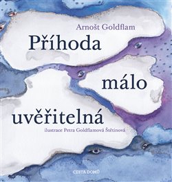 Levně Příhoda málo uvěřitelná - Arnošt Goldflam