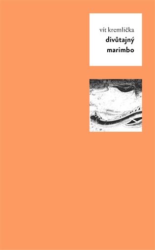 Divůtajný Marimbo - Vít Kremlička