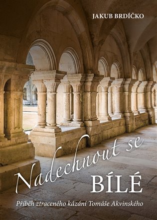 Nadechnout se bílé - Jakub Brdíčko