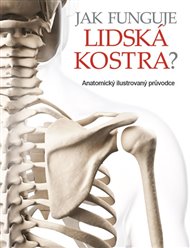Jak funguje lidská kostra?: Anatomický ilustrovaný průvodce