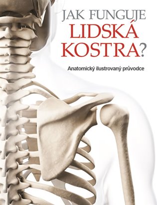 Jak funguje lidská kostra?: Anatomický ilustrovaný průvodce - 