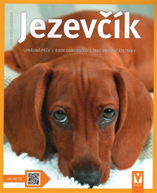 Jezevčík - Leni Fiedelmeierová