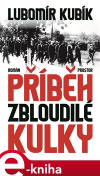 Levně Příběh zbloudilé kulky - Lubomír Kubík e-kniha