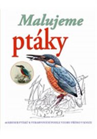 Malujeme a vybarvujeme ptáky: 44 kreseb k vybravování podle vzoru