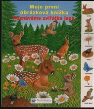 Poznáváme zvířátka v lese