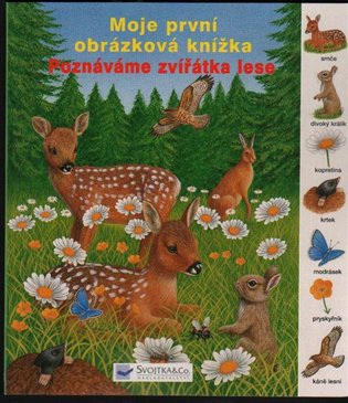 Poznáváme zvířátka v lese - 