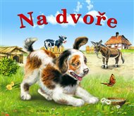 Na dvoře -  kolektiv