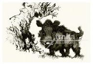 Pohlednice - Staré pověsti české, kanec - Jiří Trnka