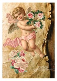 Pohlednice - Andělíček a růže - Klára Trnková