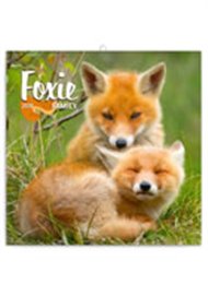 Kalendář poznámkový 2018 - Liščí rodinka