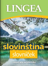 Slovinština - slovníček -  kol.