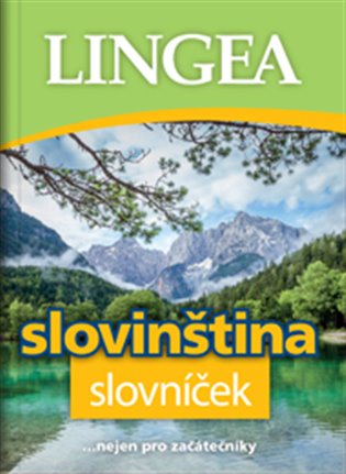 Slovinština - slovníček -  kol.