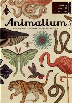 Levně Animalium - Jenny Broomová