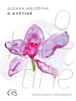 O květině koupíte na Kosmas.cz