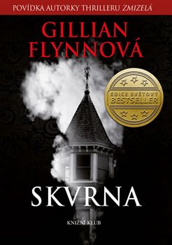 Levně Skvrna - Gillian Flynnová