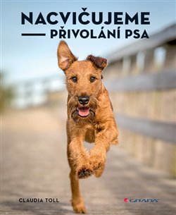 Levně Nacvičujeme přivolání psa - Claudia Toll