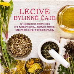 Levně Léčivé bylinné čaje - Sarah Farr