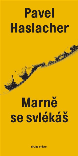 Marně se svlékáš - Pavel Haslacher