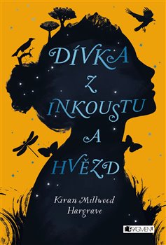 Levně Dívka z inkoustu a hvězd - Kiran Millwood